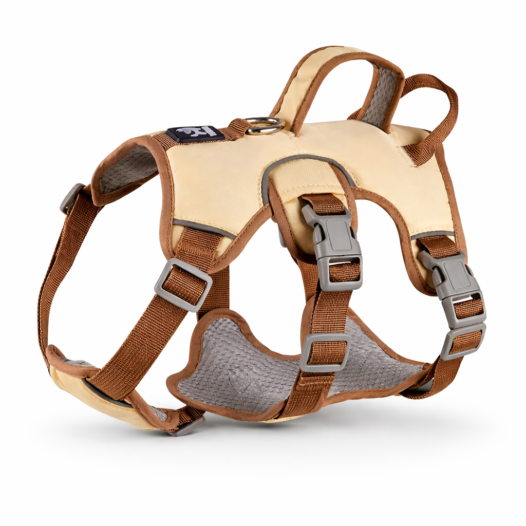 Petyoo Secure Harness