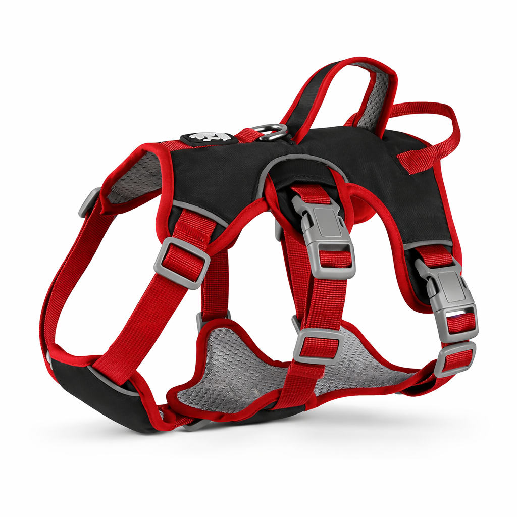 Petyoo Secure Harness